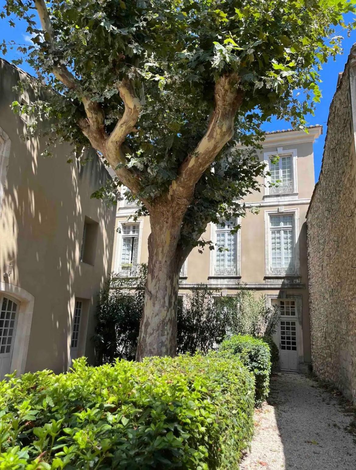 Apartamento Superbe De Charme A 10mn De Saint-remy Noves
